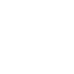 ALCON INC