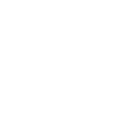 ASML HOLDING NV