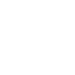 CARMAX INC