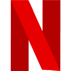 NETFLIX INC