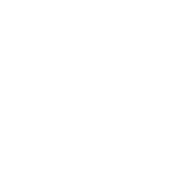 ROYAL CARIBBEAN CRUISES LTD