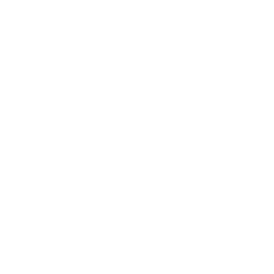 ARCH CAPITAL GROUP LTD.