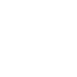 AMERICAN INTERNATIONAL GROUP, INC.