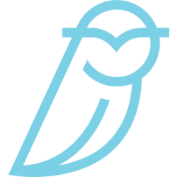 BLUE OWL CAPITAL INC.